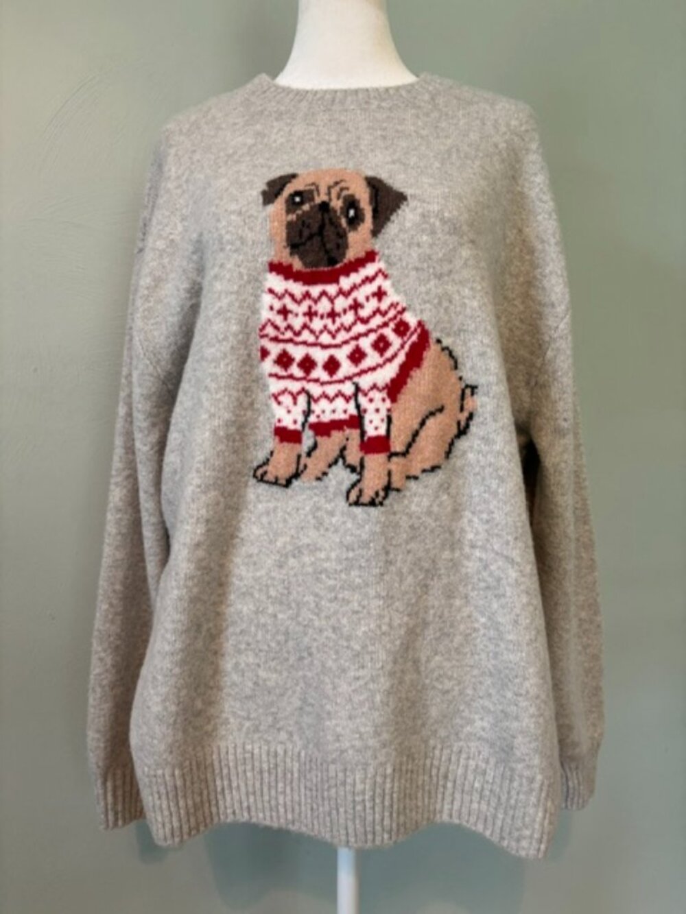 NWT Hollister Comfy Cloud Puppy Graphic Crew Sweater Women's Size Medium